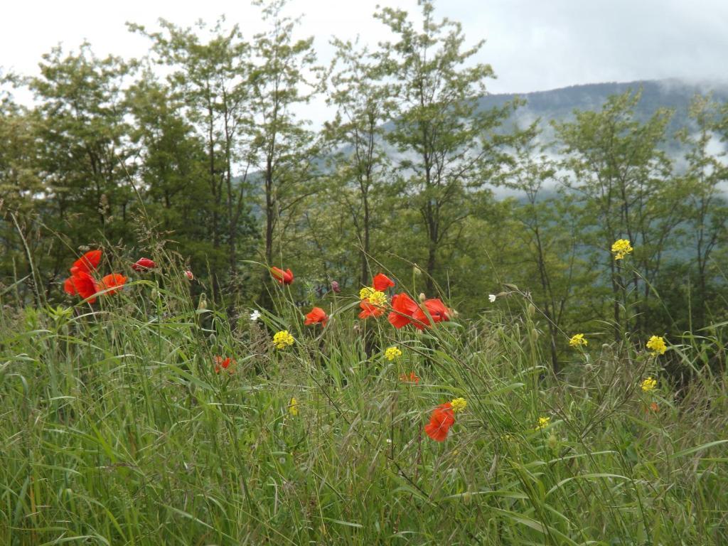 Auberge De Mandrin Dullin Buitenkant foto
